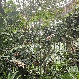 Winter garden, butterfly exhibit