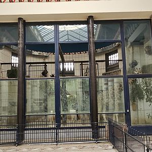 Giraffe indoor area, egyptain temple house