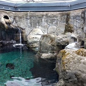 Penguin enclosure