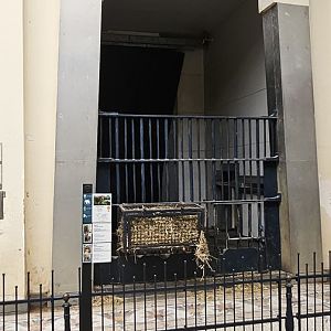 Elephant indoor stall, egyptain temple