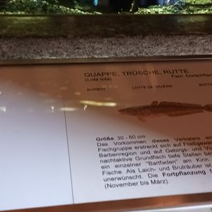 Signage Example Aquarium