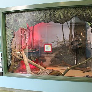 Burmese Python Exhibit - Hamill Family Play Zoo