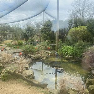 Large former walkthrough aviary in Walled Garden 280423