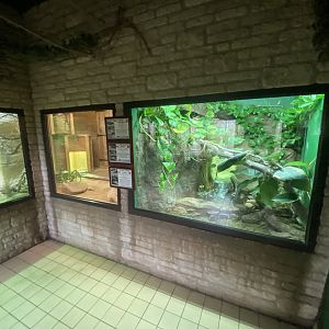 Reptile House exhibits 280423