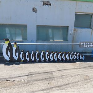 Penguins size comparison