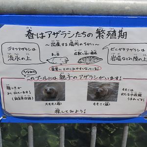 Seal signage