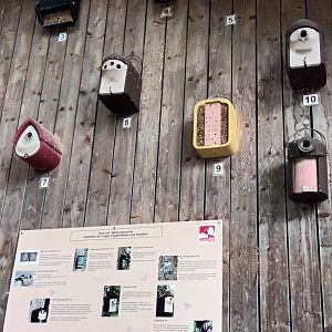 Bird Nestingboxes on Childrens Zoo Stables
