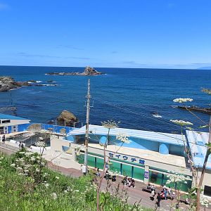 Marine mammal exhibit