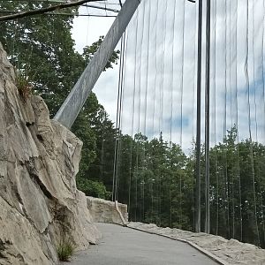 Zogg Troller Aviary of Alpine Vultures