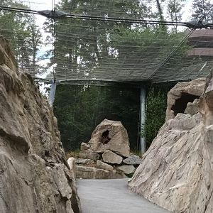 Zogg Troller Aviary of Alpine Vultures
