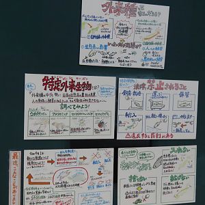 Sign about invasive exhibit