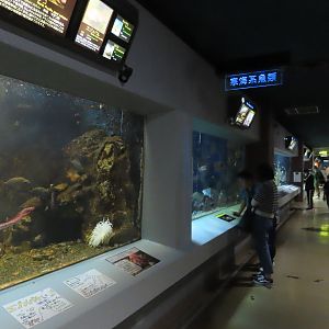 Aquarium interior