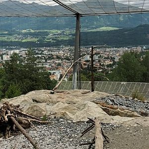 Zogg Troller Aviary of Alpine Vultures