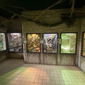 Reptile House 280423
