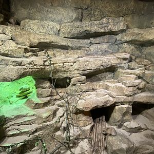 Little Africa - Gundi exhibit 280423