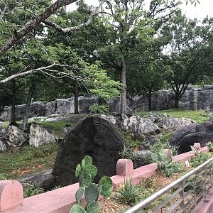 Baboon Habitat North Lower View
