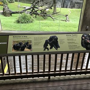 New Chimpanzee Signage