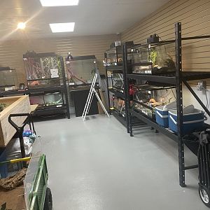 Part of NEW Ambassador Room (6/11/23)