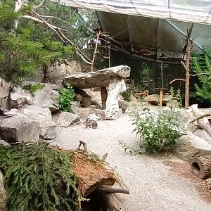 Nutcracker, Black Grouse and Mountain Hare Aviary