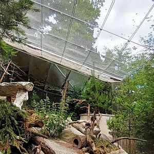 Nutcracker, Black Grouse and Mountain Hare Aviary