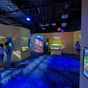 MORPH'D - Gallery view