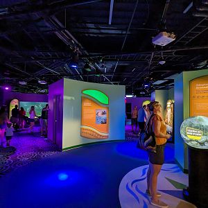 MORPH'D - Gallery view