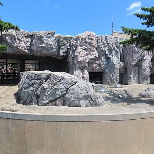 Polar bear exhibit