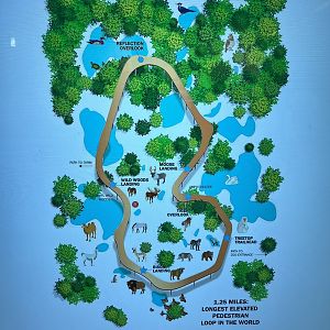 Treetops Trail Map