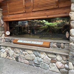 Minnesota Trail - Minnesota Turtles Tank