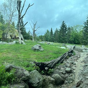 Russia’s Grizzly Coast - Grizzly Bear Exhibit