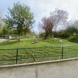 Visayan spotted deer enclosure 060523