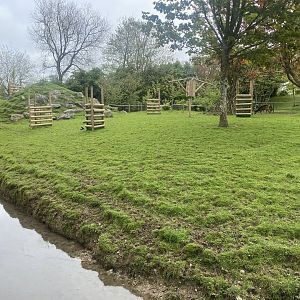 Visayan spotted deer enclosure 060523