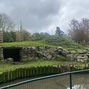 Visayan spotted deer enclosure 060523