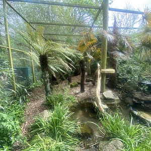 Fishing cat enclosure 060523