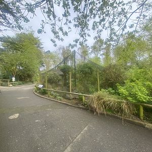 African Wetland Aviary 060523