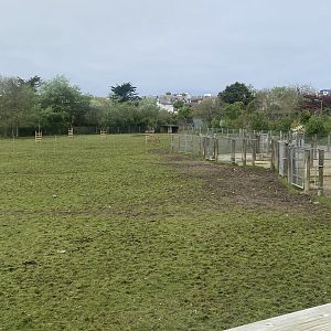 African Savannah exhibit 060523