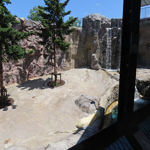 Polar bear 2nd exhibit