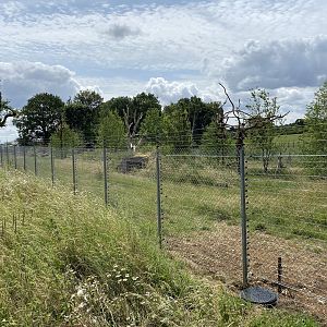 Langur and babirusa enclosure whipsnade