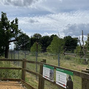 Langur and babirusa signage