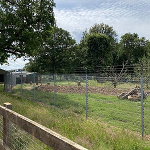 Langur and babirusa enclosure top end whipsnade