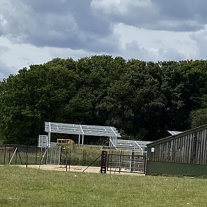 Progress on monkey forest - housing whipsnade
