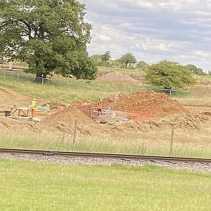 Whipsnade Progress on monkey forest from passage through Asia