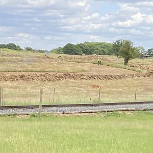 Whipsnade Progress on monkey forest from passage through Asia