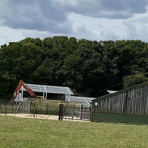 Whipsnade Progress on monkey forest - housing work