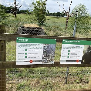 Langur and babirusa signs whipsnade