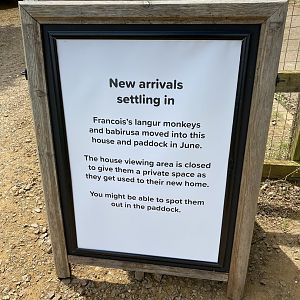 Whipsnade signage explaining the temp access restrictions to the langur and babirusa house