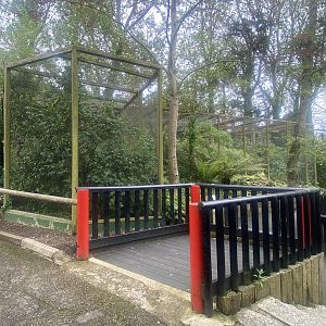 Aviaries in Oriental Garden section 060523