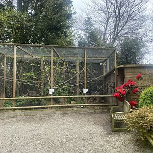 Enclosure for Prevost’s squirrels and Owstons banded palm civet 060523