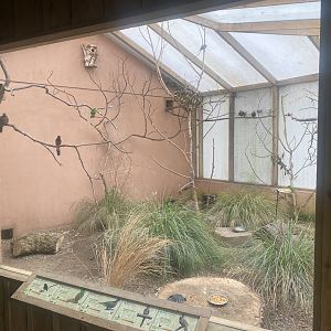 Gems of the Jungle - entrance aviary 060523