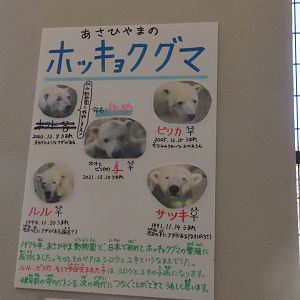 Information about the 4 individuals